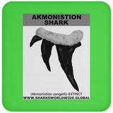 GR AKMONISTION T C
