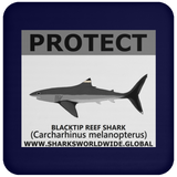 PRS BLACKTIP REEF V2 C