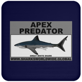 AP GREAT WHITE C