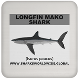SSP LONGFIN C
