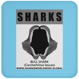 GR SRS J BULL SHARK C