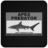 AP G HAMMERHEAD C