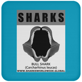 GR SRS J BULL SHARK C