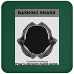 GR BASKING SHARK J C