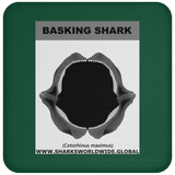 GR BASKING SHARK J C