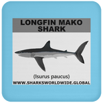 SSP LONGFIN C
