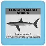 SSP LONGFIN C