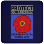 PCRS ROSE C