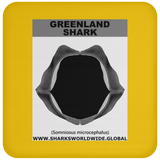 GR GREENLAND J C