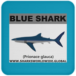 SSP BLUE SHARK C