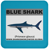 SSP BLUE SHARK C