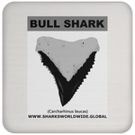 GR BULL SHARK T C