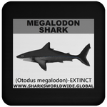 SSP MEGALODON C