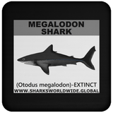 SSP MEGALODON C