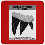 GR XENACANTHUS T C