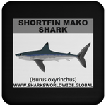 SSP SHORTFIN C