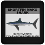 SSP SHORTFIN C