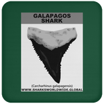 GR GALAPAGOS T C