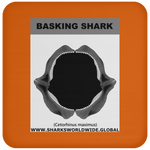 GR BASKING SHARK J C