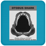 GR OTODUS J C