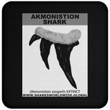 GR AKMONISTION T C