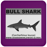 SSP BULL SHARK C