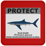 PRS BLUE SHARK V2 C