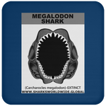GR MEGALODON J C