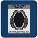GR MEGALODON J C