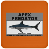 AP GREAT WHITE C