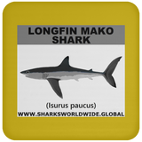 SSP LONGFIN C