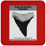 GR GALAPAGOS T C