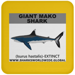 SSP GIANT MAKO C