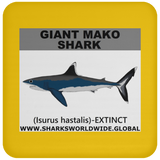 SSP GIANT MAKO C