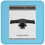 GR WINGHEAD J C