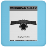 GR WINGHEAD J C