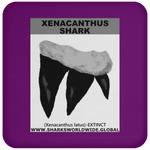 GR XENACANTHUS T C