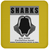 GR SRS J BULL SHARK C