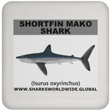 SSP SHORTFIN C