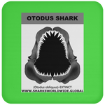 GR OTODUS J C