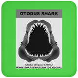GR OTODUS J C