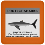 PRS BLACKTIP REEF V1 C