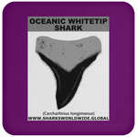 GR OCEANIC WT T C