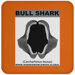 GR BULL SHARK J C