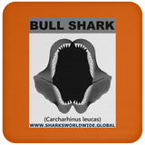 GR BULL SHARK J C
