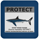 PRS GIANT MAKO V2 C