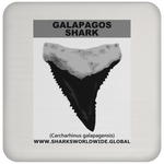GR GALAPAGOS T C