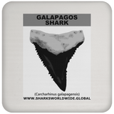 GR GALAPAGOS T C