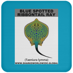 GR BS RIBBONTAIL C