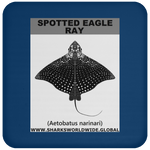 SPOTTED EAGLE RAY C